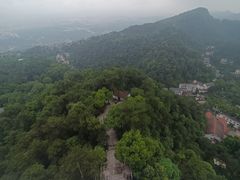 -大金鹰园