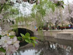 -元大都城垣遗址公园