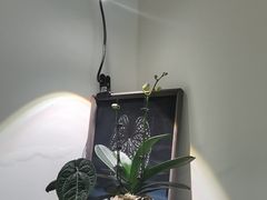 -本無咖啡·BeanWood Coffee