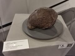 -北京周口店北京人遗址博物馆