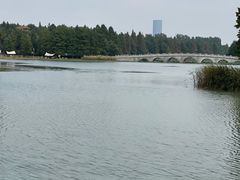 -苏州东太湖生态园