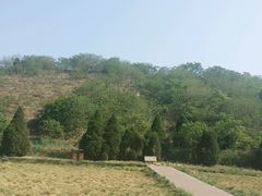 -汉景帝阳陵博物院