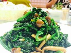 android_upload_pic-西北45°(世茂广场店)