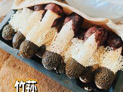 -云南木水花野生菌交易中心