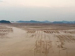 -北岐滩涂