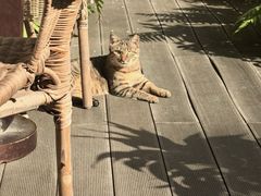 -默迹咖啡馆