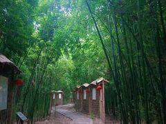 -同里国家湿地公园