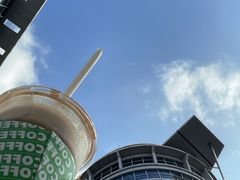 -ALPHA COFFEE阿尔法咖啡(虹泉路店)