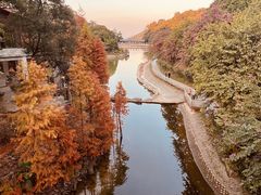 -广州市帽峰山景区