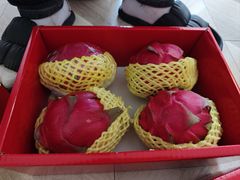 -叶氏兄弟(大连奥特莱斯店)