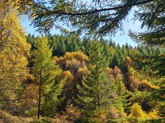 -苏木山森林公园