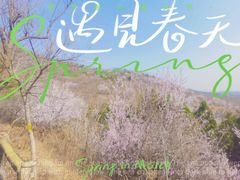 -北宫国家森林公园