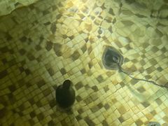 -春晖园度假酒店温泉