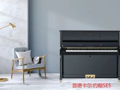 -秦川乐器(河西店)