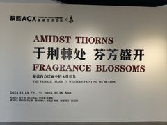 -辰熙ACX星海艺术中心
