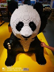 -kidsland(上海环球港店)