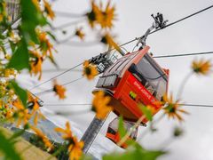 -太舞滑雪小镇
