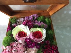 爱心盒子花-容玉花店