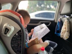 -恐龙探索乐园(磁器口店)