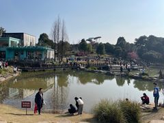 -铁山坪森林公园