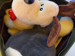 -可爱抓 COCO  GOTCHA(天津鹏欣水游城店)