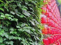 -七宝老街汤团店(七宝一店)