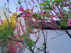 -乌山风景区