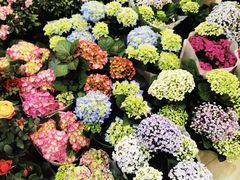 -双季花艺园艺市场(浦东店)