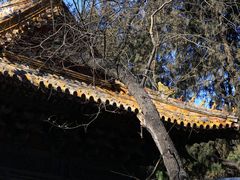 -北京国子监胡同