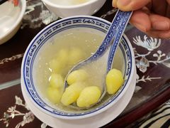 -大中鱼翅 Taitong Shark Fin