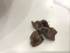 -鸿福面馆·非物质文化遗产(活力源店)