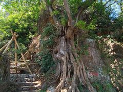 -抚仙湖禄充风景区