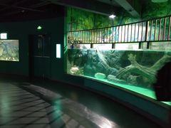 -常州海昌海洋探索馆