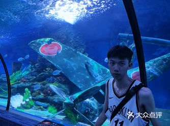 138提前一小时才行 谨记 158可直接 海洋世界人