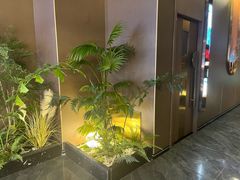 -臻享足道·HIFI影院足疗SPA(成华店)