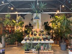 -自由生长植物工作室(深港花卉中心店)