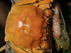 -朱胖子蟹行大闸蟹(定安里店)