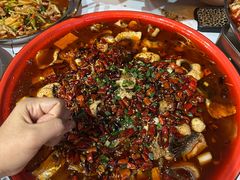 -阳光天地