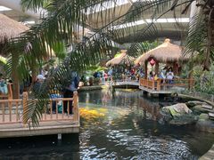 -南宫五洲植物乐园