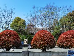-Sarah西点·烘焙·餐厅(翰林府旗舰店)