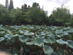 iphone_upload_pic-烟桥古村
