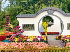 -上海共青森林公园