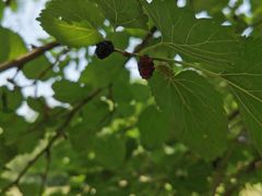 -合肥三国新城遗址公园