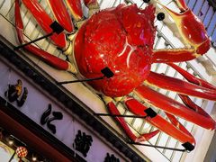 -蟹道乐(道顿堀本店)