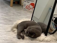 -爸爸糖吐司面包(无锡阳光花园店)