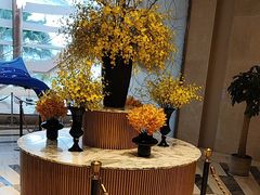 -亚特兰蒂斯-番红花海鲜自助餐厅·鲜活海鲜·小火锅