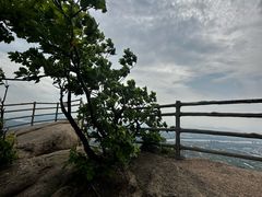 -吉林市朱雀山国家森林公园