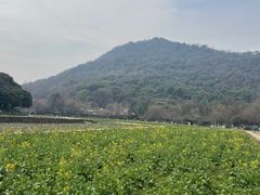 -八卦田遗址公园