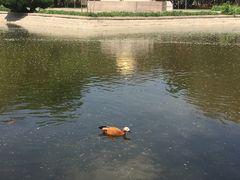 -北京世界公园