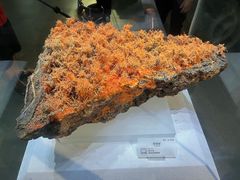 -湖南省地质博物馆